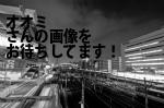 大阪市北区のオオミ