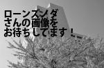 大阪市都島区のローンズノダ