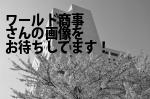 大阪市西区のワールド商事
